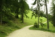 Back from Badia's promenade