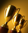 GOLD AWARD TROPHY