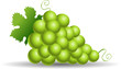 Green grapes with leaves isolated on white Green grapes with leaves isolated on white