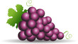 Purple grapes with green leaves isolated on white Purple grapes with green leaves isolated on white