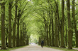 Park von Schloss Esterhazy