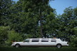 Limousine