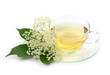 Elder tea isolated on white background Elder tea isolated on white background