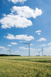 Windfarm in summer