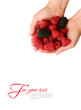 Кaspberries and blackberries on palms