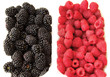 Blackberry and raspberry
