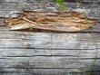 Holzspäne 3