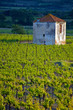 A Stone Hut in France A Stone Hut in France