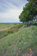 Fields bordering the Canal du Midi Fields bordering the Canal du Midi
