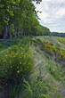 THE BANKS OF THE CANAL DU MIDI THE BANKS OF THE CANAL DU MIDI