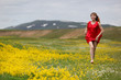 The girl in a blossoming field The girl in a blossoming field