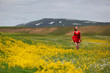 The girl in a blossoming field The girl in a blossoming field