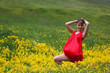 The girl in a blossoming field The girl in a blossoming field