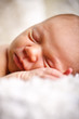 Newborn Lea