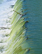 Cascade