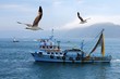 fishing boat