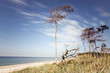 Wind am Weststrand