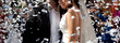 the wedding day
