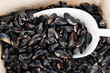 Moules Bourriche