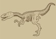 Highly detailed striding Tyrannosaur skeleton vector. Highly detailed striding Tyrannosaur skeleton vector.