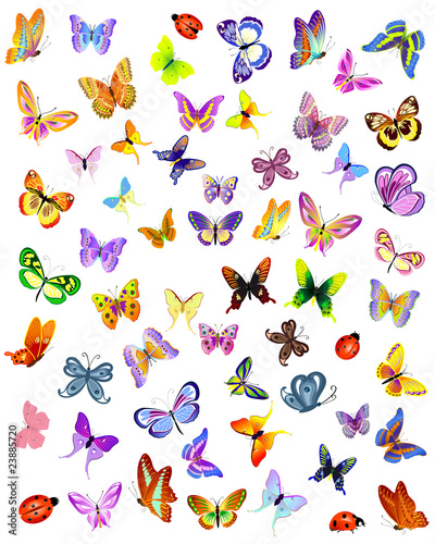 Vettoriale: insects insects