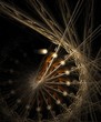 Golden wheel fractal background