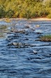 Vah river
