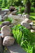 Beautiful summer garden with plants and stones Beautiful summer garden with plants and stones