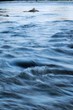 Vah river