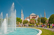 Hagia Sofia , Istanbul