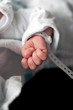 Newborn Baby Hand