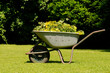 Gartenabfall