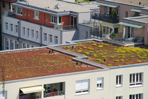 Foto: Begrünung Flachdach Flachdachbegrünung Wohnhaus Begrünung Flachdach Flachdachbegrünung Wohnhaus