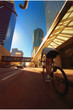 Cycling In The City