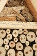 Foto: Detailaufnahme Insektenhotel Detailaufnahme Insektenhotel