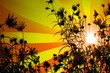 retro blumen silouetten hintergrund
