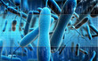 Cholera bacteria