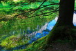 Reflection in water. Reflection in water.