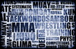 Mixed Martial Arts