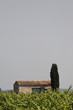Maison dans les vignes
