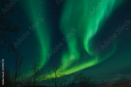 Foto: Northern Lights swirling in the night sky Northern Lights swirling in the night sky