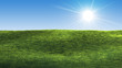 Grass and blue sky