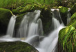 Salto de agua en Muniellos.