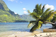 Beautiful beach in Papetoai, Moorea, French Polynesia