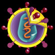 Aidsvirus