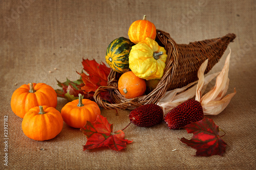 Photo: Cornucopia with pumpkins on brown background Cornucopia with pumpkins on brown background