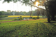 Bhuddism Garden