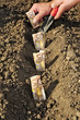 Foto: wachsen wachsen