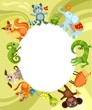 animal card
