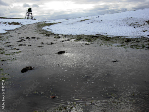Foto: Tauwetter Tauwetter